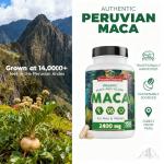 Organic Maca Capsules - Gelatinized Root Supplement