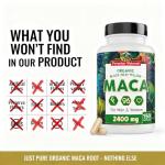 Organic Maca Capsules - Gelatinized Root Supplement