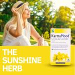 KarmaMood St John's Wort Extract for Low Mood