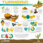 High Strength Turmeric Tablets 2,500mg for Health