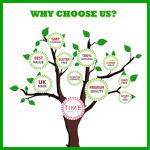 Organic Mushroom Complex - 6 Mushroom Blend Capsules