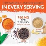 Turmeric & Black Pepper Ginger Complex - 365 Capsules