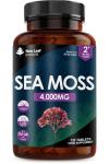 High Strength Sea Moss Tablets 4000mg - 120 Count