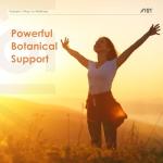 Clove, Wormwood & Black Walnut Hull Supplement 525mg