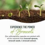 Sulforaphane 20MG from Broccoli Sprouts - 60 Ct
