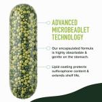 Sulforaphane 20MG from Broccoli Sprouts - 60 Ct