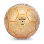 SKLZ Golden Touch Weighted Soccer Training Ball