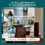TREATLIFE 4-Pack Smart WiFi Light Switches