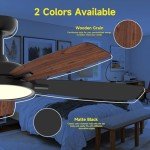 Smart 52" Ceiling Fan with Light & Remote