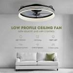 LUDOMIDE Smart Ceiling Fan with Lights and Remote