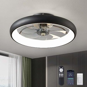 Smart 20'' Ceiling Fan with Lights & Remote