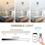 Smart 52-Inch Ceiling Fan with Light & Remote