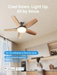 Dreo Smart Ceiling Fan with Alexa & Lights