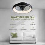 Smart 20'' Ceiling Fan with Lights & Remote