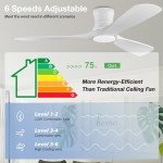 Smart 52in Ceiling Fan with Lights & Remote