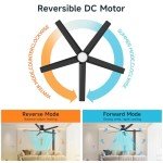 52" Smart Ceiling Fan with Lights, Alexa Compatible