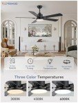 2 Pack Modern 52" Ceiling Fans with Lights