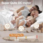 Hoenofly Smart 52" Flush Mount Ceiling Fan with Lights