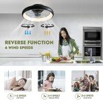 Smart 20'' Ceiling Fan with Lights & Remote