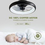 Smart 20'' Ceiling Fan with Lights & Remote