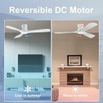 Smart 52in Ceiling Fan with Lights & Remote