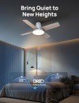 Smart Ceiling Fan with Lights and Remote Control
