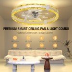 Remote-Controlled 20'' Ceiling Fan with Lights