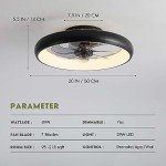 Smart 20'' Ceiling Fan with Lights & Remote