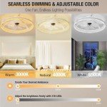Remote-Controlled 20'' Ceiling Fan with Lights