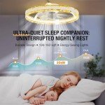 Remote-Controlled 20'' Ceiling Fan with Lights