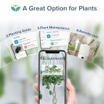 Smart Cool Mist Humidifier for Bedroom & Nursery