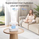 Dreo Top Fill 4L Quiet Cool Mist Humidifier