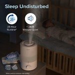 LEVOIT Quiet Humidifier & Essential Oil Diffuser