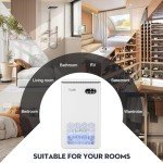 ToLife 1000 sq.ft Dehumidifier with LED Light