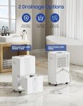 21-Pint Portable Dehumidifier with Smart Humidity Control