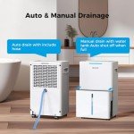 SEAVON 21 Pint Dehumidifier for Home & Basement