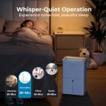 SEAVON 21 Pint Dehumidifier for Home & Basement