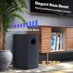 Saiyin 100W Smart TV Sound Bar with Subwoofer
