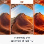 Fire TV Stick HD with Alexa & Live TV