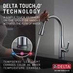Delta Essa Touch Kitchen Faucet with Pull Down Sprayer