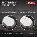 Delta Lenta Touch Kitchen Faucet with Pull Down Sprayer