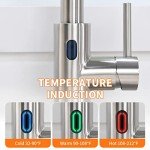 Touchless Kitchen Faucet with Pull Down Sprayer