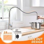 Touchless Kitchen Faucet with Pull Down Sprayer