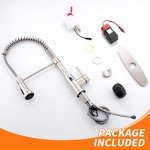 Touchless Kitchen Faucet with Pull Down Sprayer