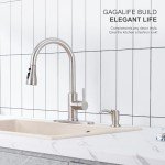 GAGALIFE Kitchen Sink Soap and Lotion Dispenser