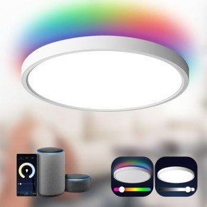 TALOYA WiFi Smart LED Ceiling Light Fixture