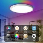 TALOYA WiFi Smart LED Ceiling Light Fixture