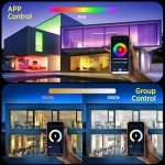 TALOYA WiFi Smart LED Ceiling Light Fixture