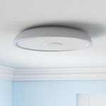 Smart LED Ceiling Light with Bluetooth Speaker, 11 Inch