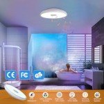 Smart LED Ceiling Light with Bluetooth Speaker, 11 Inch